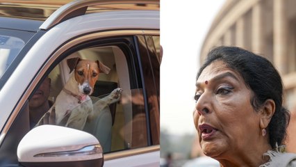 Video: On row over bringing her pet dog in Parliament, Congress MP's bizarre reply
