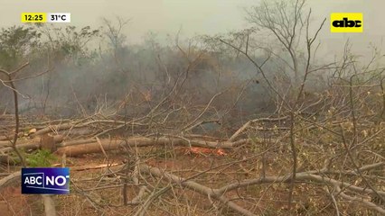 Peña sobre incendios: “no necesitamos ley”