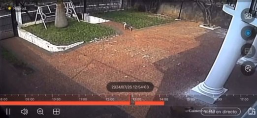 Operativo “Cartier”: así se produjo el asalto y presunto robo de relojes y joyas