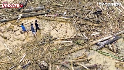 Pemprov Sumbar Jelaskan Asal Gelondongan Kayu Usai Banjir Bandang di Padang