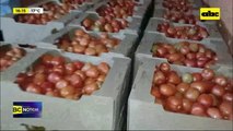 Tomateros piden frenar contrabando: denuncian saturación del mercado nacional