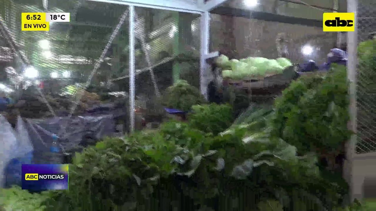 Mercado De Abasto