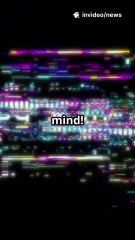 Spotify Wrapped 2026: Your Music, Your Year! 🎧📊