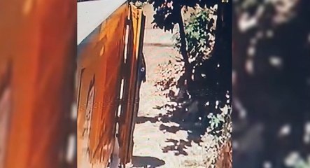 Adolescentes Asaltaron A Un Camión Distribuidor De Pollos En Bañado Sur