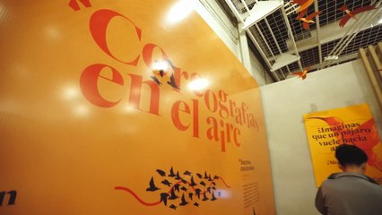 El Vuelo De Las Aves En El Muci