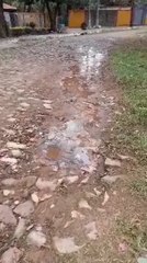 Caño roto de la Essap pierde agua hace casi un mes