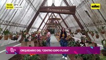 Centro Expo Flora de Caacupé: un espacio para disfrutar de las orquídeas