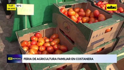Costanera Norte: Feria de la agricultura familiar con productos frescos y en oferta