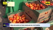 Costanera Norte: Feria de la agricultura familiar con productos frescos y en oferta