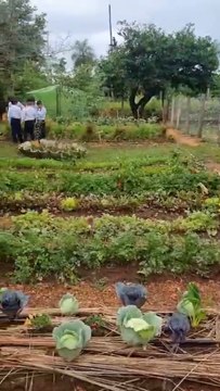 Huerta en Escuela Básica Nº 2226 Berta Zaldívar Vda de Pappalardo, de Arroyos y Esteros.