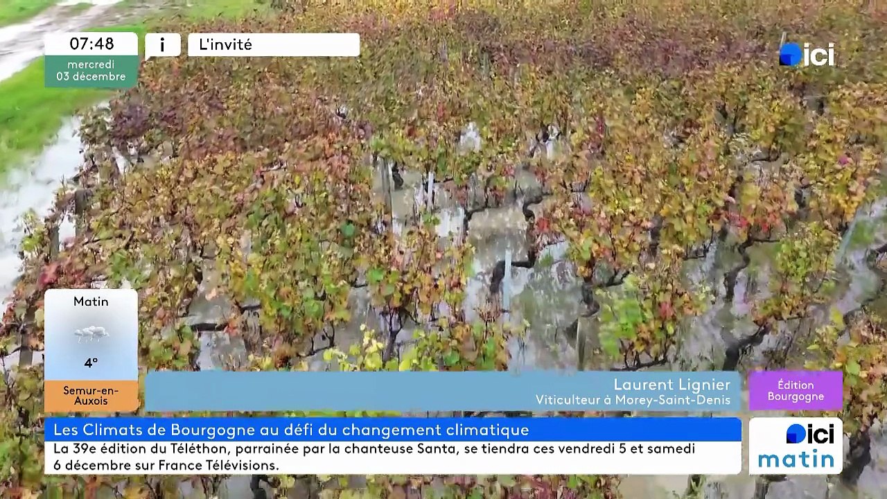 Laurent Lignier, viticulteur à Morey Saint Denis