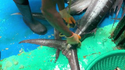 Deep Gulf Mystery: What We Pulled From the Water Shocked Us