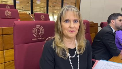 Enojo de Peña con la prensa: “Su obligación es dar explicaciones a la ciudadanía”, dice diputada