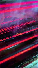 700w Single-ended Carbon fiber Heating Lamps Infrared Carbon Emitter