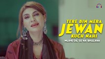 Tere Bin Mera Jewan Kuch Nahi | Mujhe Dil Se Na Bhulana | Fariha Pervez & Ali Raza