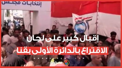 إقبال كبير على لجان الاقتراع بالدائرة الأولى بقنا