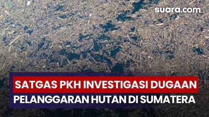 Dugaan Pelanggaran Hutan Mencuat, Satgas PKH Turun ke Sumatera