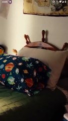 New Beginnings - Full