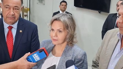 Juan Afara Sobre Situación De La ANR Y El Caso Lilian Samaniego Contra Antonio Barrios