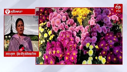 ਭਾਈ ਵੀਰ ਸਿੰਘ ਨੂੰ ਸਮਰਪਿਤ ਗੁਲਦਾਊਦੀ ਸ਼ੋਅ, ਫੁੱਲਾਂ ਦੀਆਂ ਕਈ ਕਿਸਮਾਂ ਬਣੀਆਂ ਖਿੱਚ ਦਾ ਕੇਂਦਰ