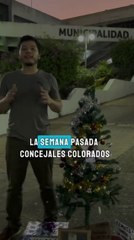 Los adornos del arbolito de Navidad que armaron para Nenecho Rodríguez