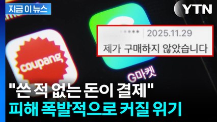 [자막뉴스] "예상치 못한 형태" 도미노 피해 위기...쿠팡페이마저 뚫렸나 / YTN