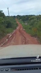 Absurdas Señales De Tránsito En Camino Vecinal