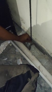 Bomberos rescatan una yarará en una vivienda de Mariano Roque Alonso