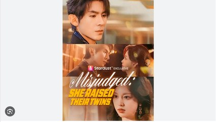 Misjudged She Raised Their Twins Chinese Drama - English Sub