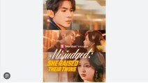 Misjudged She Raised Their Twins Chinese Drama - English Sub