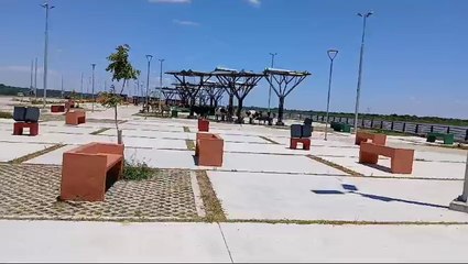 Vacas en la Costanera Sur