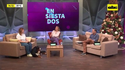 Así es como los animales de apoyo ayudan a superar el estrés