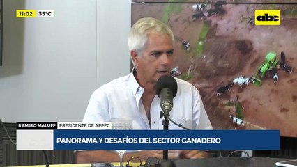 Desafíos del sector ganadero paraguayo: caída del rebaño y la necesidad de mercados “más valiosos”