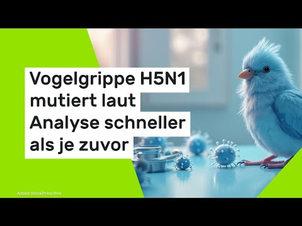 Vogelgrippe H5N1 mutiert laut Analyse schneller als je zuvor