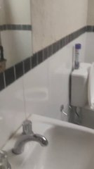 Expedientes en baño del juzgado de paz de San Roque