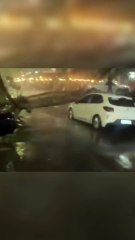 Árvore cai sobre carros e interdita rua no Jardim Guanabara, em BH