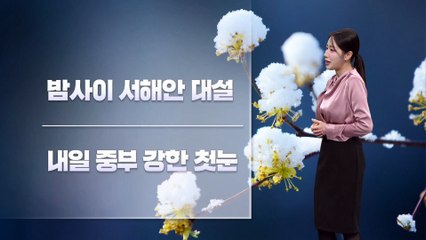 [날씨]서울 강한 첫눈, 최대 5cm…퇴근길 유의