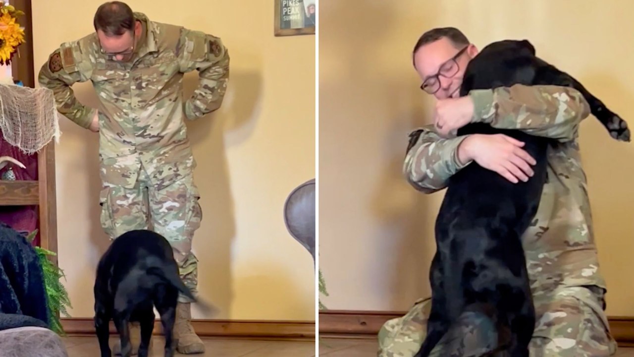 Dog That Lost Sight While Military Dad Was On Deployment Lights Up When He Returns Home | Happily TV