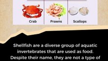 Types of Shellfish