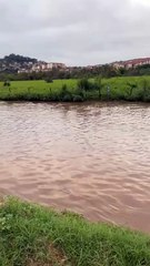 Vídeo mostra “lagoa” que se forma e interdita a BR-381 nesta manhã