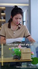 Paws Speak Louder Than Words Full Movie Eng Sub Chinese Drama