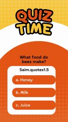 Orange and Yellow Playful Quiz Time Mobile Video