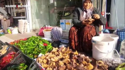 Kanlıca mantarı Bayramiçlilere can suyu oldu