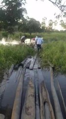 Comunidades indígenas de La Patria claman por ayuda urgente de la SEN