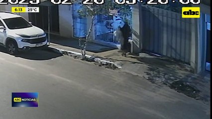 Video: Denuncian ola de robos de medidores de agua