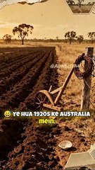 The Great Emu War - The War between Human and Birds #shorts