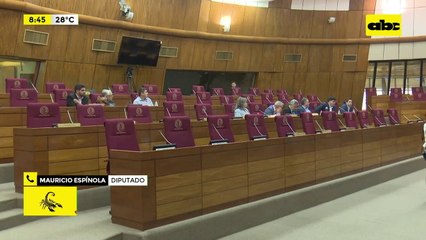 ¿Quién reemplazará a Arévalo en el JEM?: disidentes y opositores apelan a un “gran consenso”