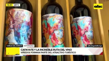 Recorrido por Salta y Cafayate - visita a bodega, restaurante, hotel