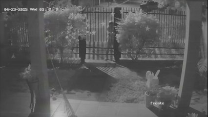 Cámaras captan robo de motocicleta en una vivienda de Lambaré