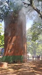 Explota sistema eléctrico del tanque de agua de Saturio Ríos.